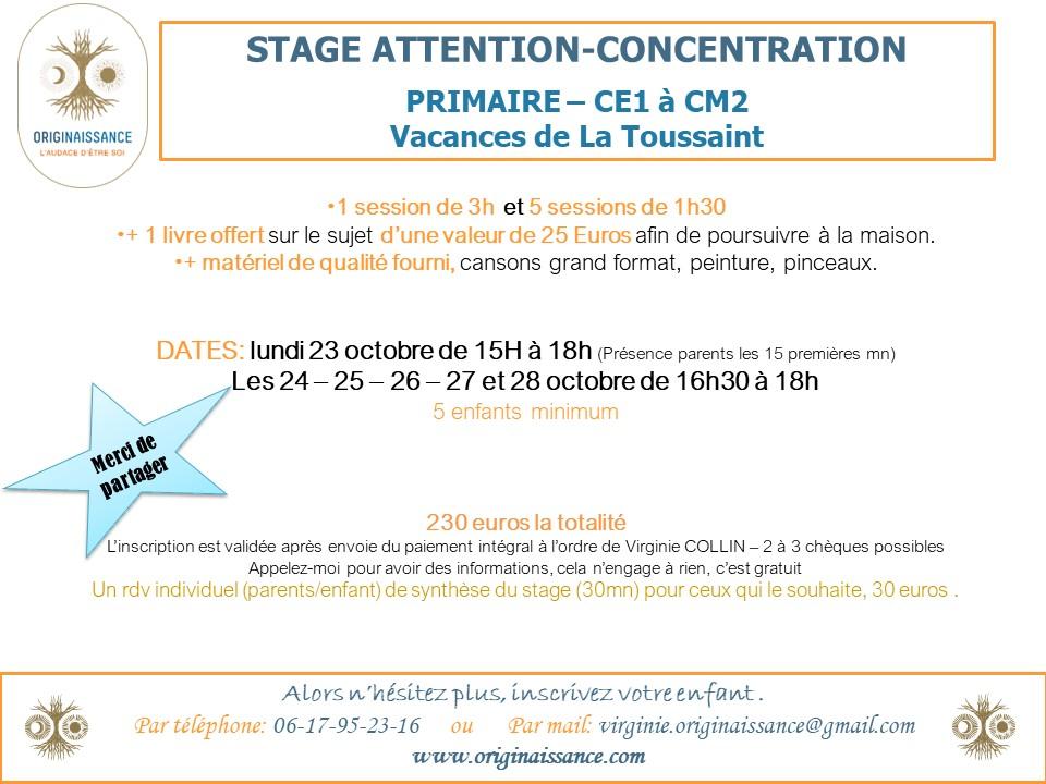 Stage Attention Concentration2