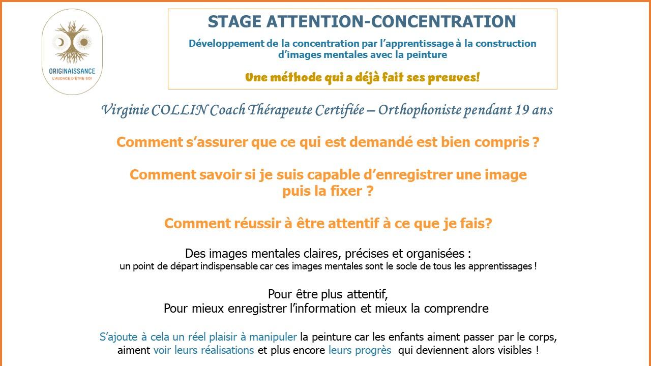 Stage Attention Concentration1